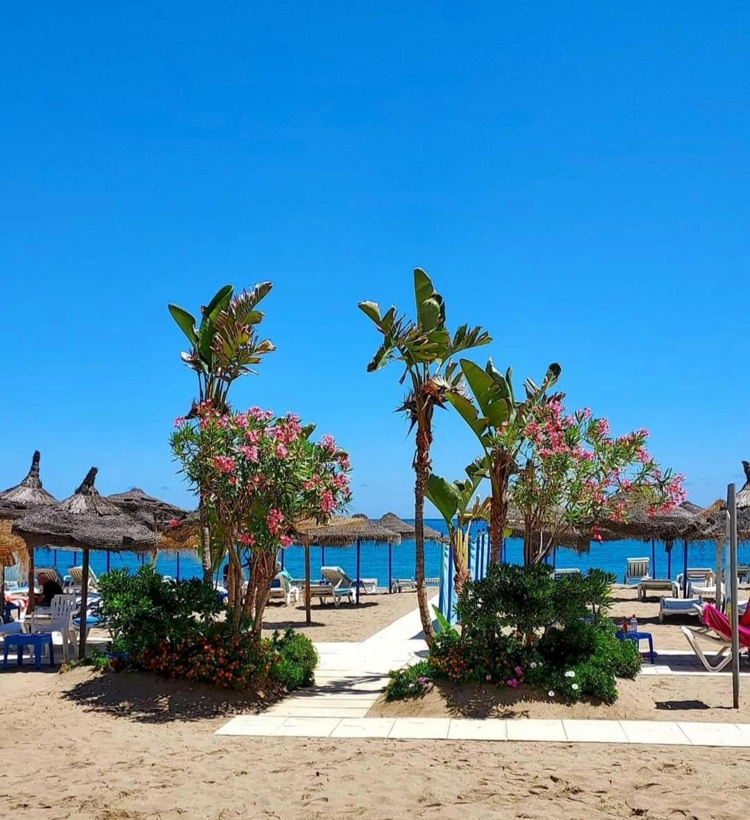 Apartment Luxury Beachfront With Pool, Sauna, Fitness And Gym In Province Malaga, Andalusia Mijas