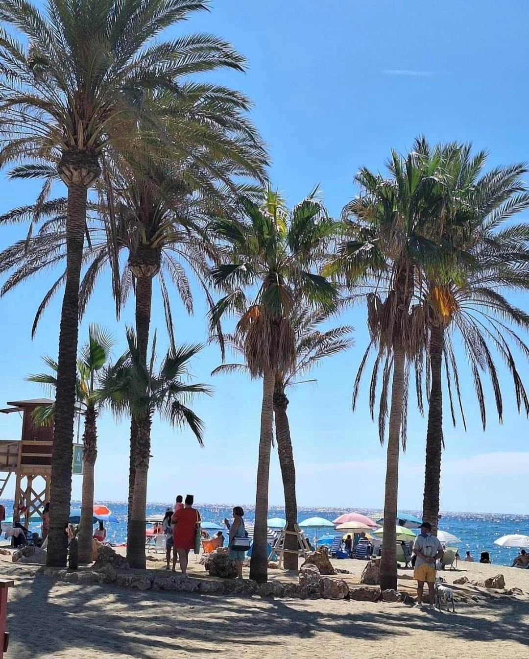 Appartement Luxury Beachfront With Pool, Sauna, Fitness And Gym In Province Malaga, Andalusia Mijas